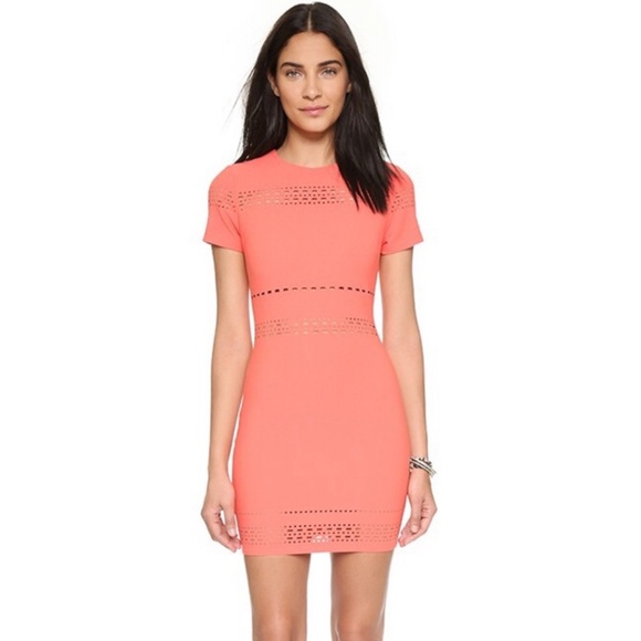 Elizabeth and James Dresses & Skirts - Elizabeth and James Ari Laser Cut Sheath Dress - 6
